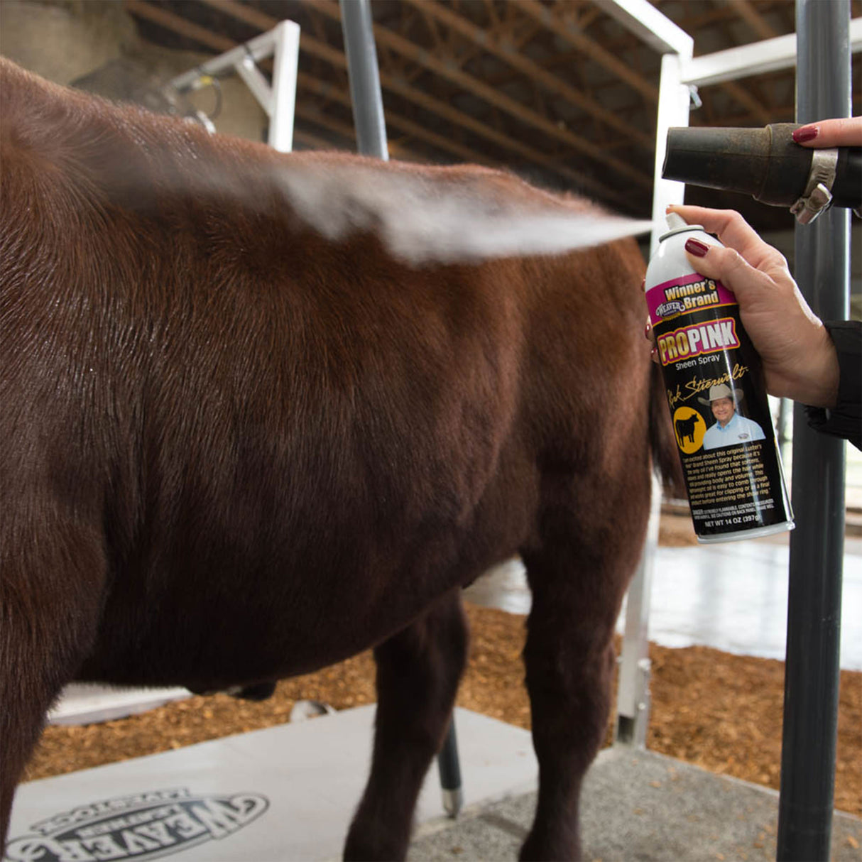 8' Professional Cattle Chute