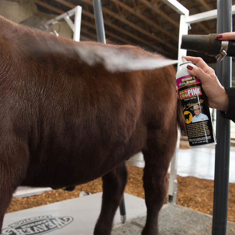 8' Professional Cattle Chute