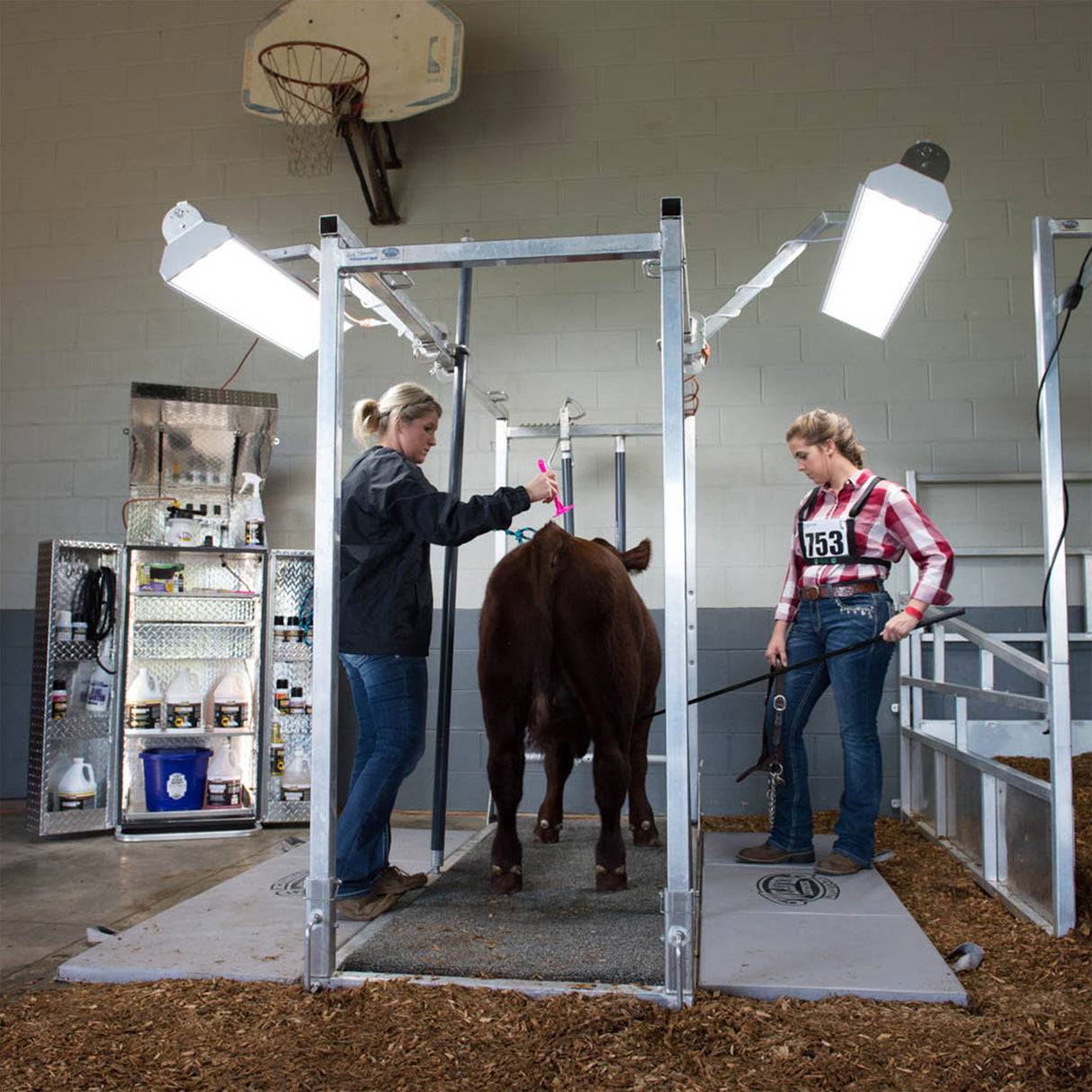 8' Professional Cattle Chute
