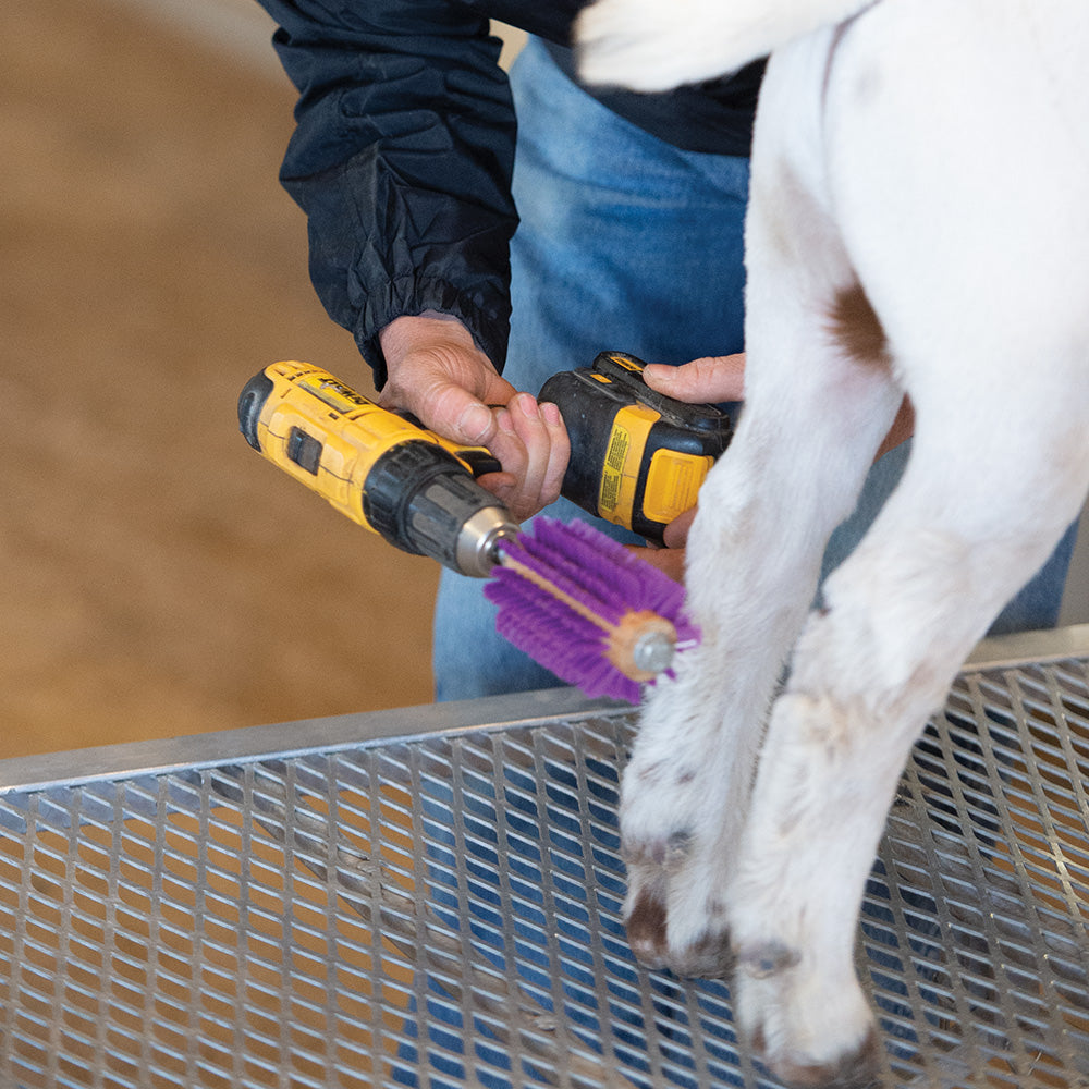 Mini Roto Brush Weaver Livestock