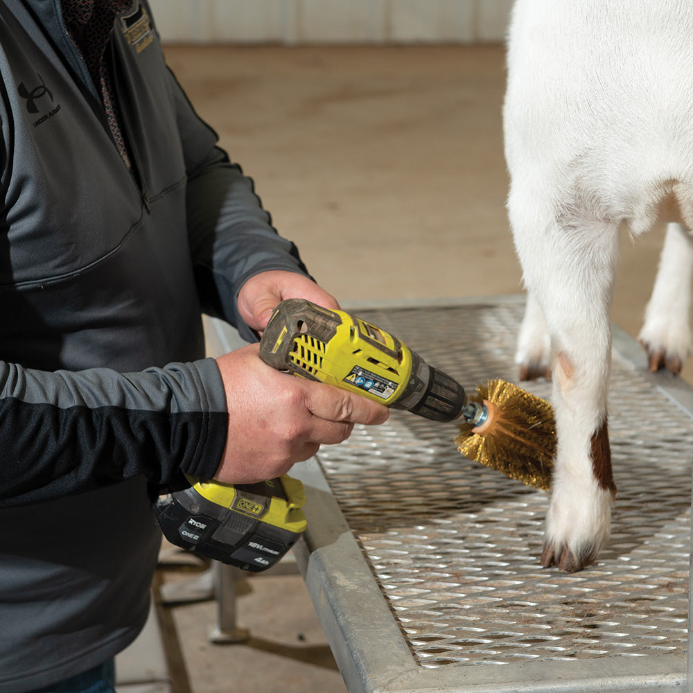 Mini Roto Brush - Weaver Livestock