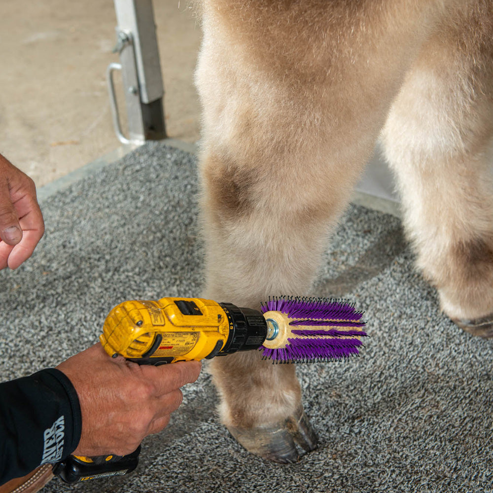 Regular Roto Brush Weaver Livestock