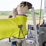 ProCool™ Sheep Blanket with Reflective Piping, Mesh Butt