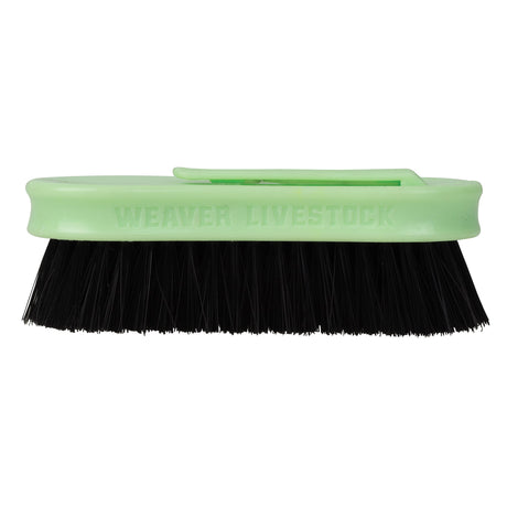 Pig Face Brush, Plastic Handle