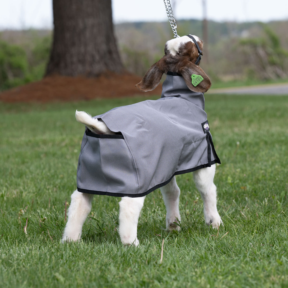 Nylon Goat Blanket
