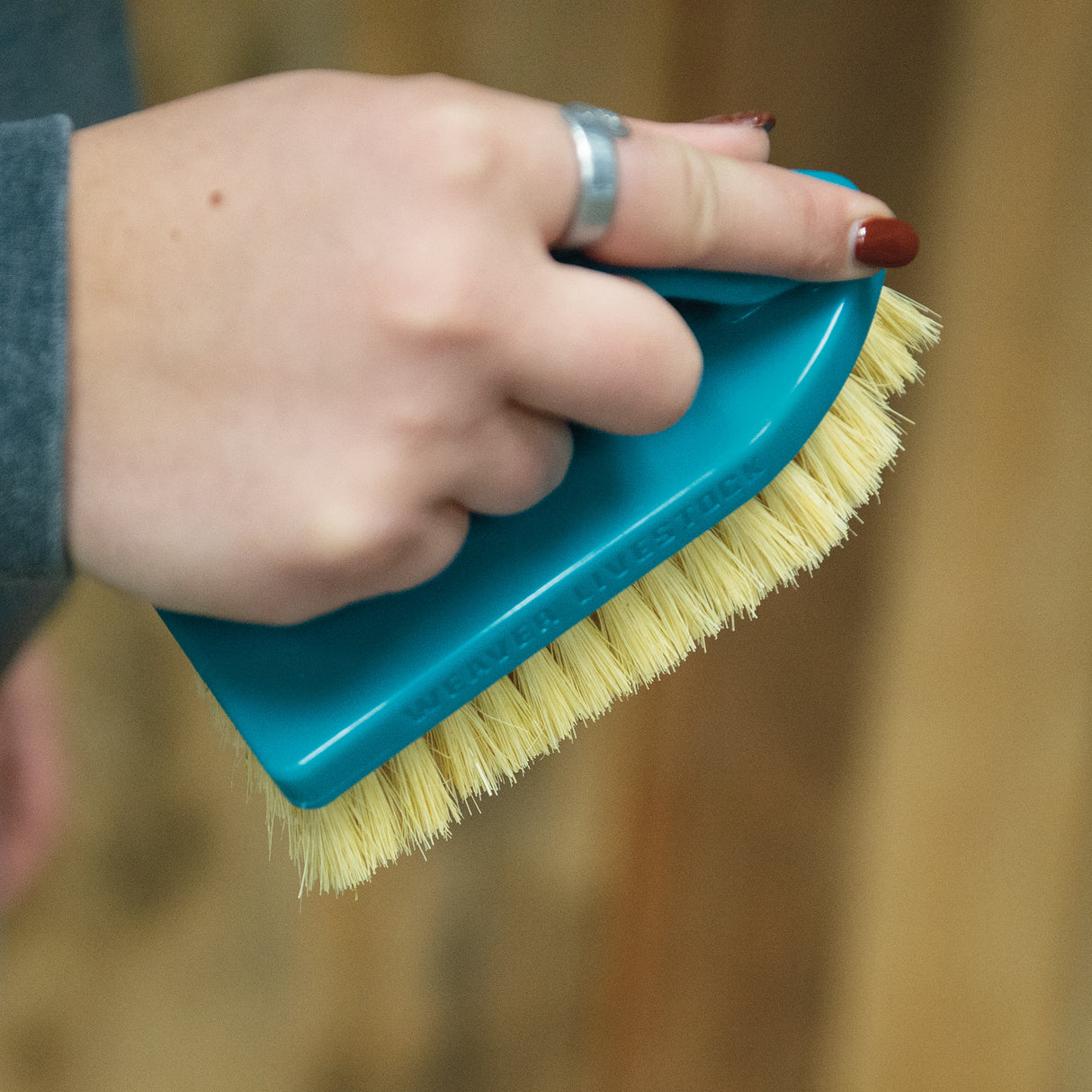 Plastic Tampico Pig Brush with Handle