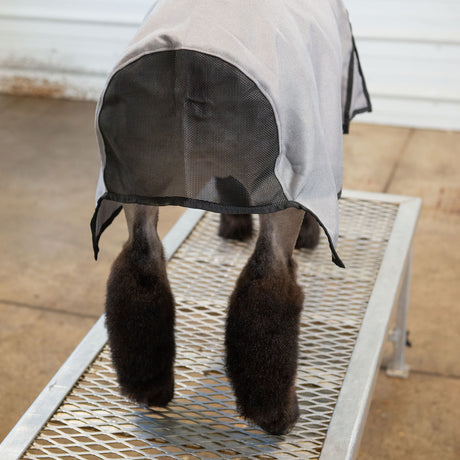 Nylon Sheep Blanket, Mesh Butt