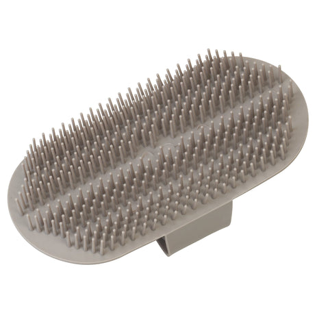 Massage Brush