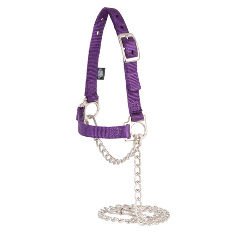 Nylon Adjustable Sheep Halter with Chain Lead