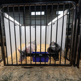 Pen Partition, 36"x 48"