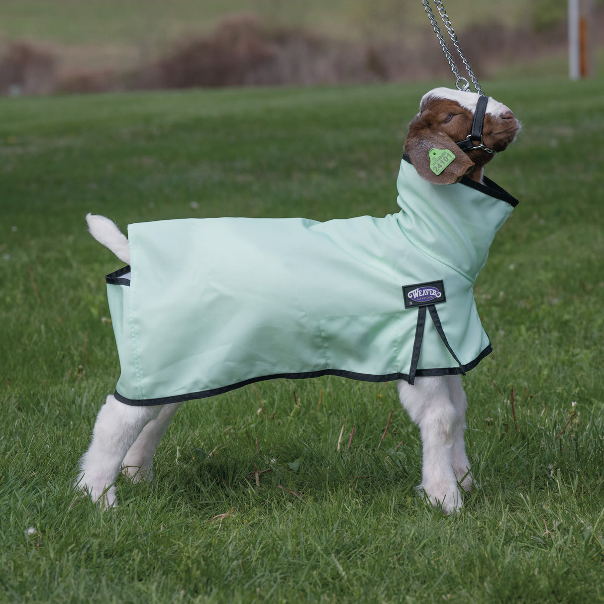 Nylon Goat Blanket