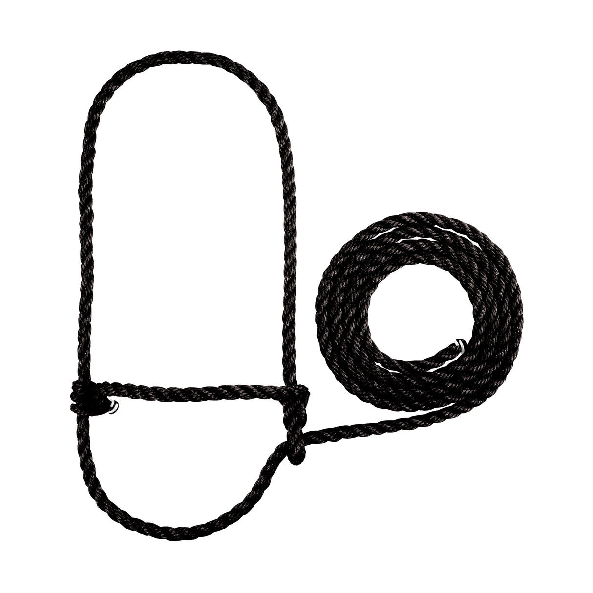 Rope Halter, Calf