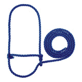 Rope Halter, Calf