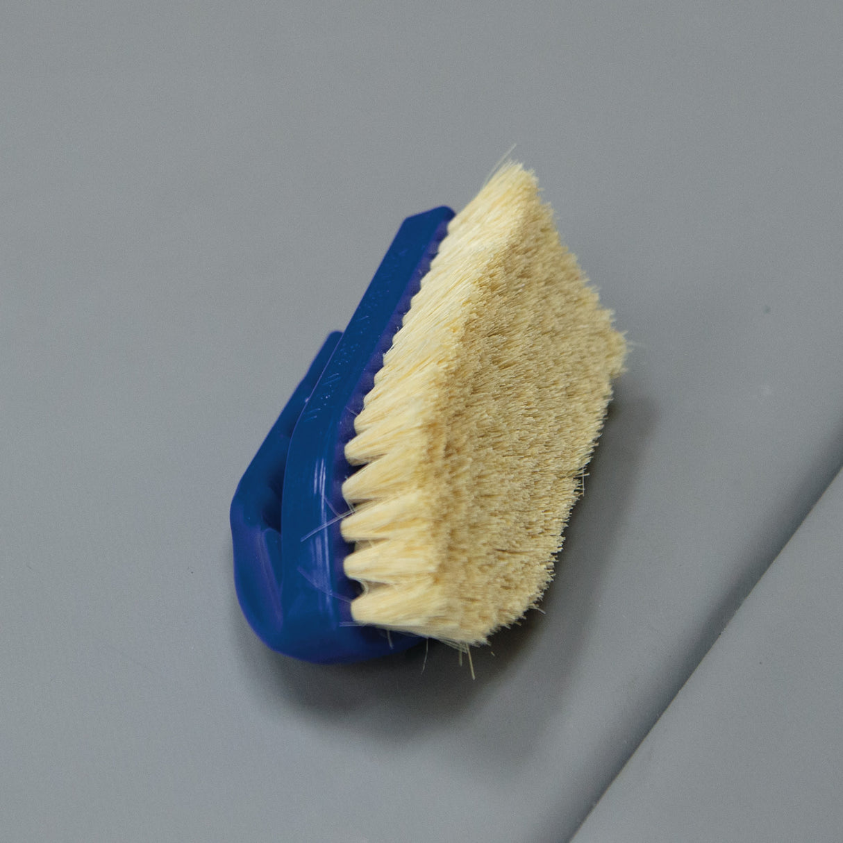 Plastic Tampico Pig Brush with Handle