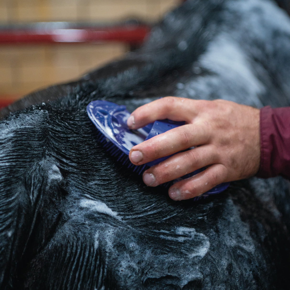 Massage Brush
