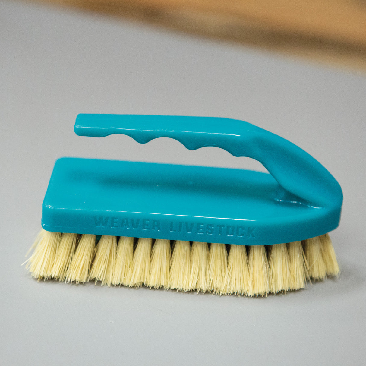 Plastic Tampico Pig Brush with Handle