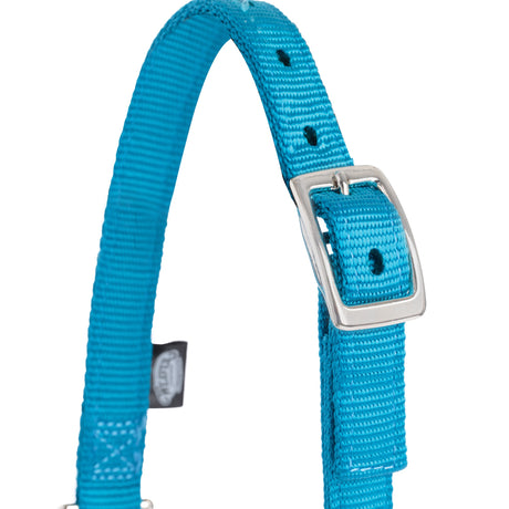 Nylon Adjustable Sheep Halter with Chain Lead