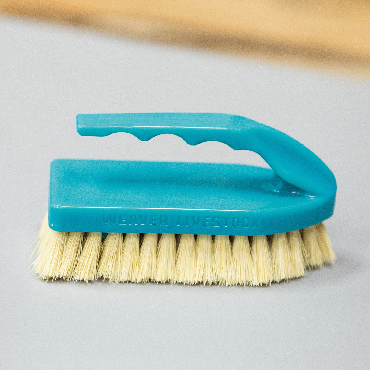 Plastic Tampico Pig Brush with Handle