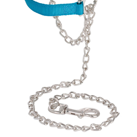 Nylon Adjustable Sheep Halter with Chain Lead