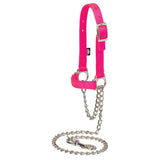 Nylon Adjustable Sheep Halter with Chain Lead