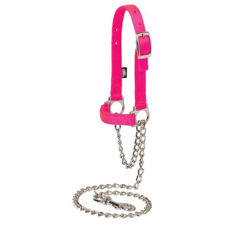Nylon Adjustable Sheep Halter with Chain Lead