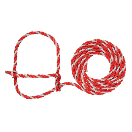 Cattle Rope Halter