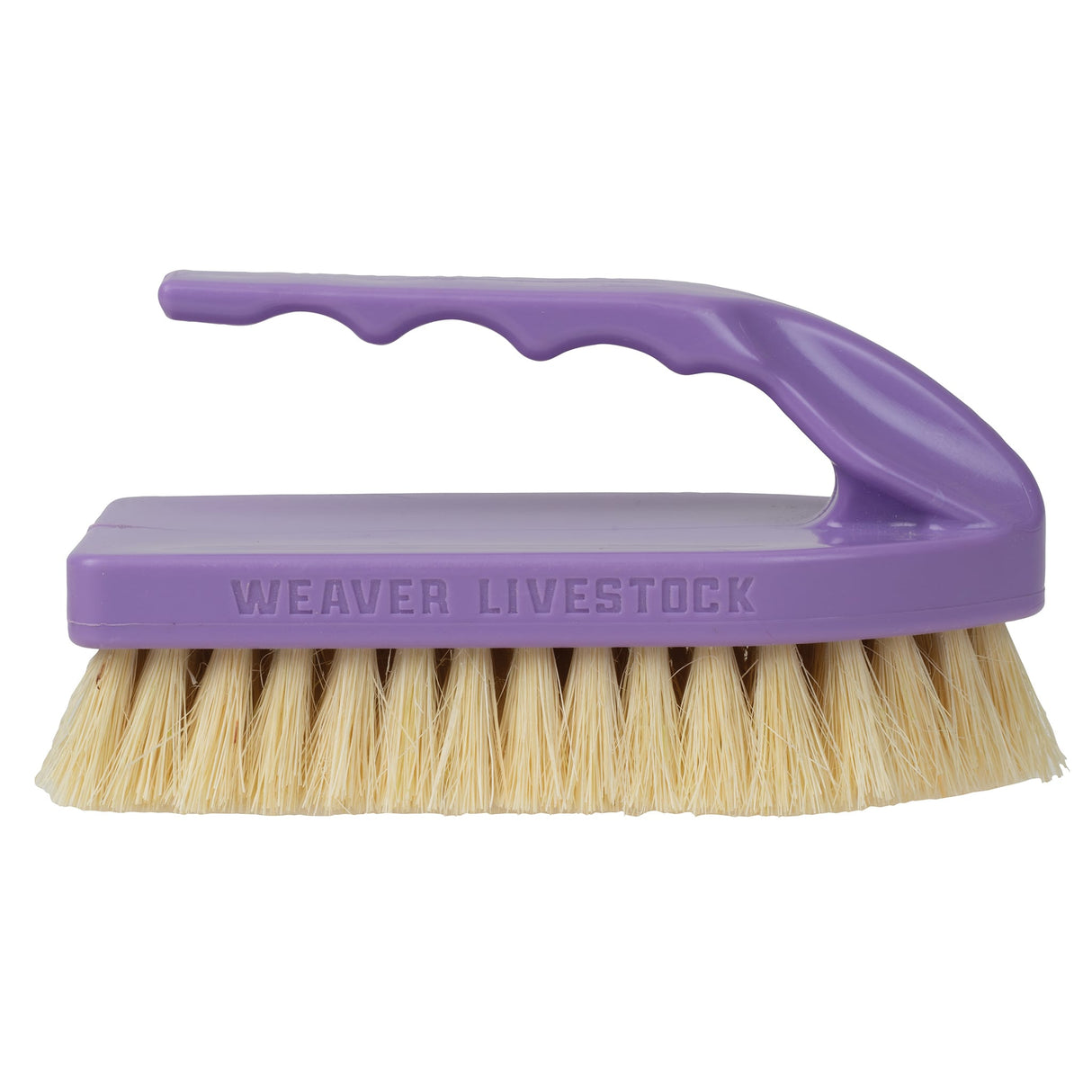 Plastic Tampico Pig Brush with Handle