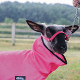 ProCool™ Sheep Blanket with Reflective Piping, Mesh Butt