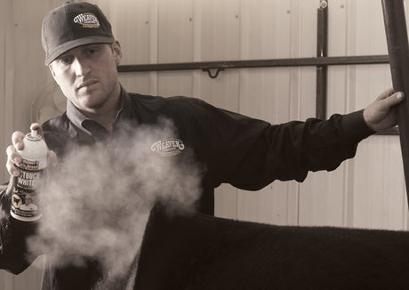 Cattle ProTips – Weaver Livestock