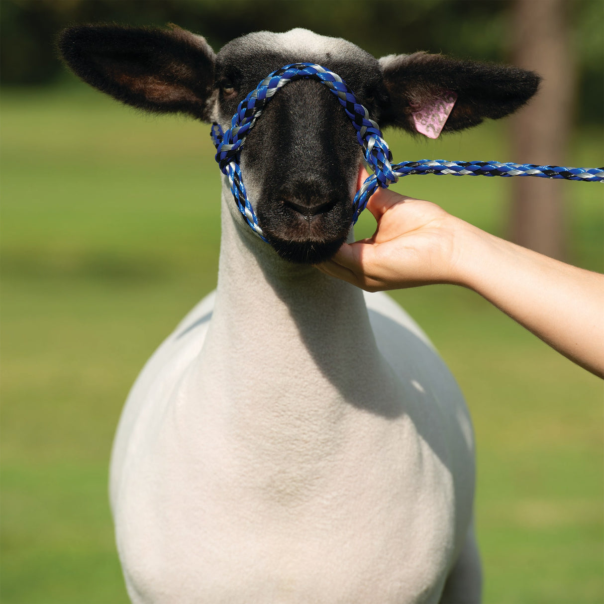 Poly Rope Halter