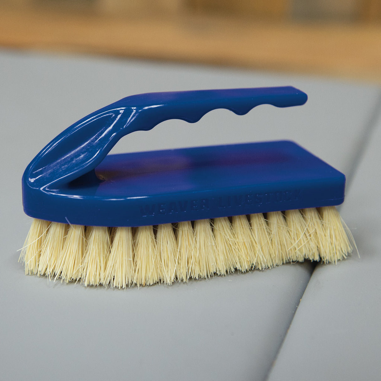 Plastic Tampico Pig Brush with Handle