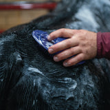 Massage Brush