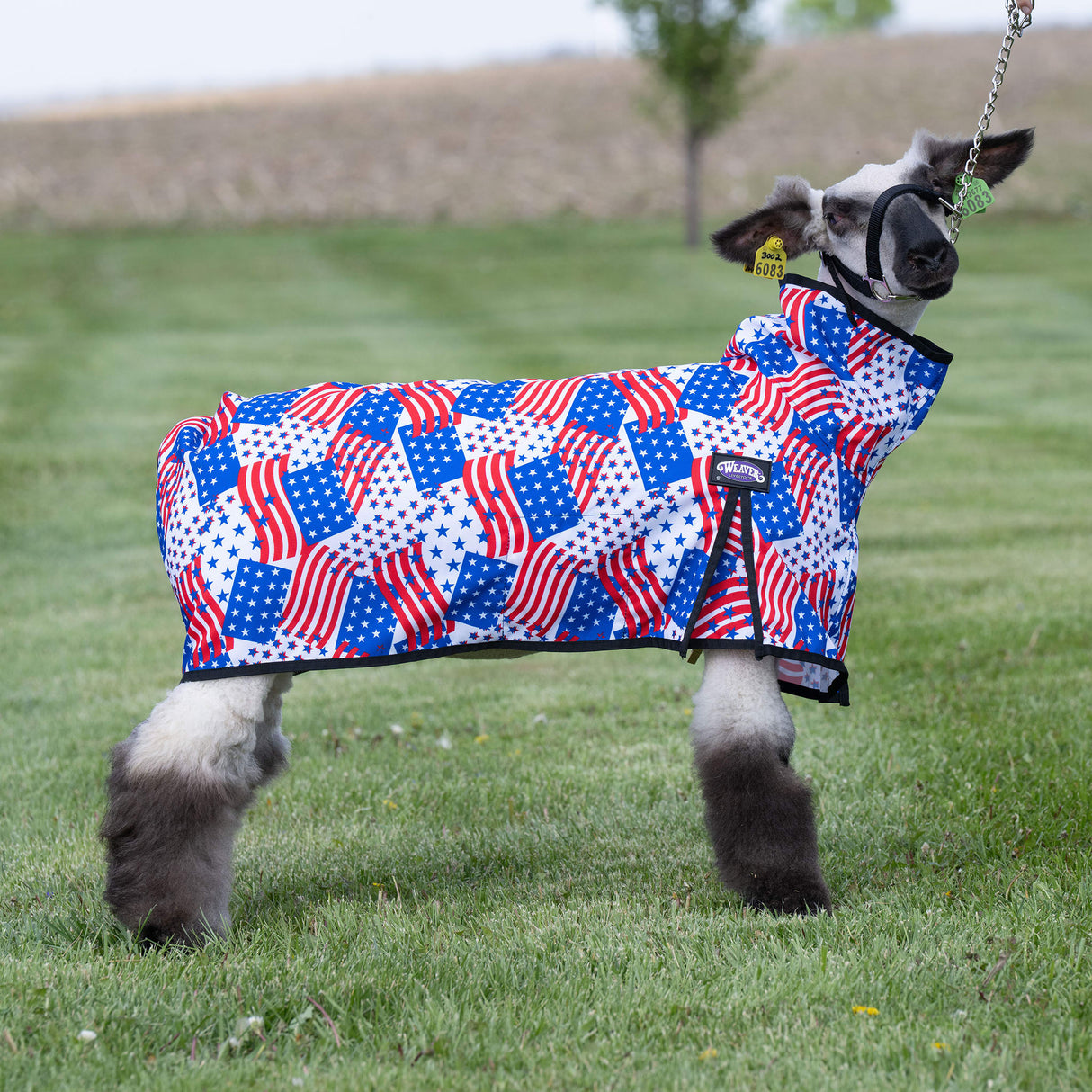 Nylon Sheep Blanket, Mesh Butt