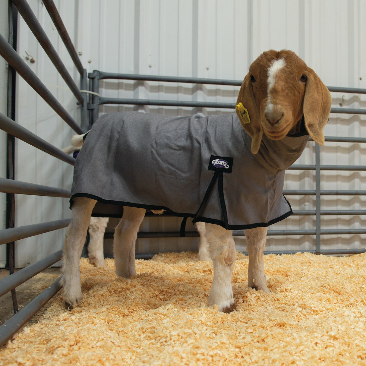 Nylon Goat Blanket