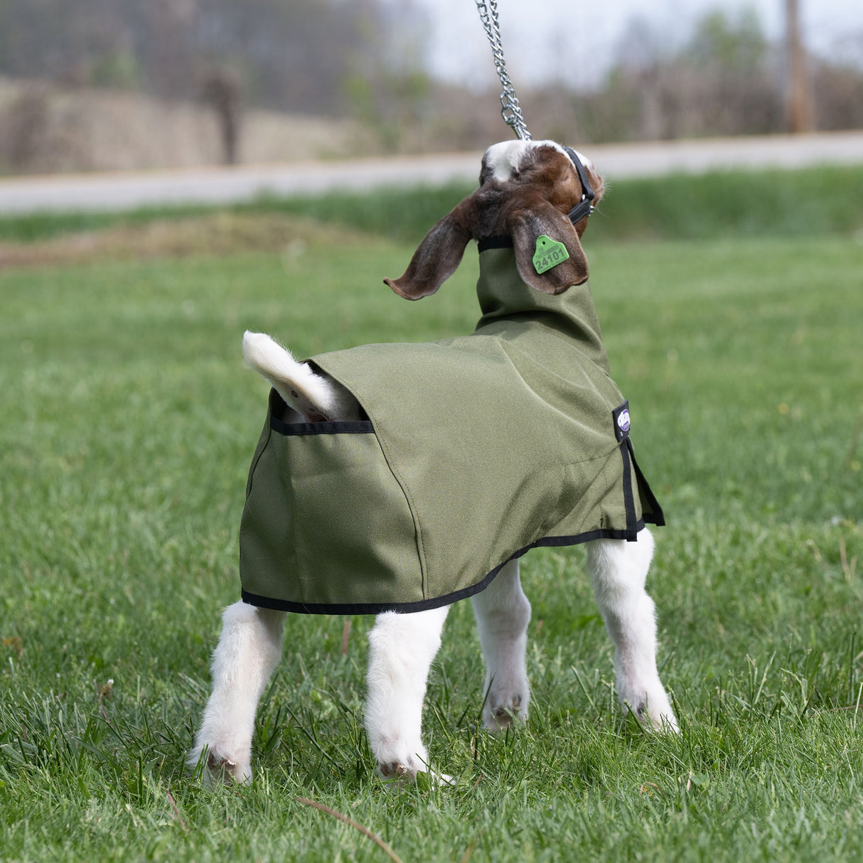 Nylon Goat Blanket