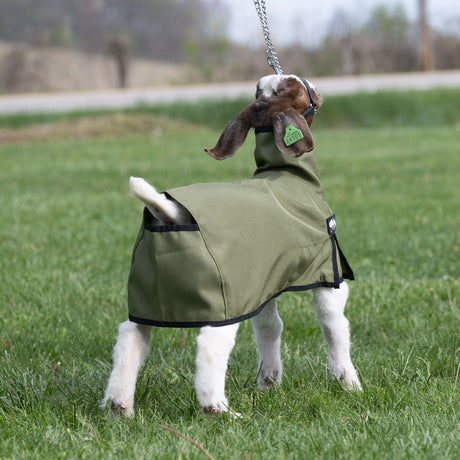 Nylon Goat Blanket