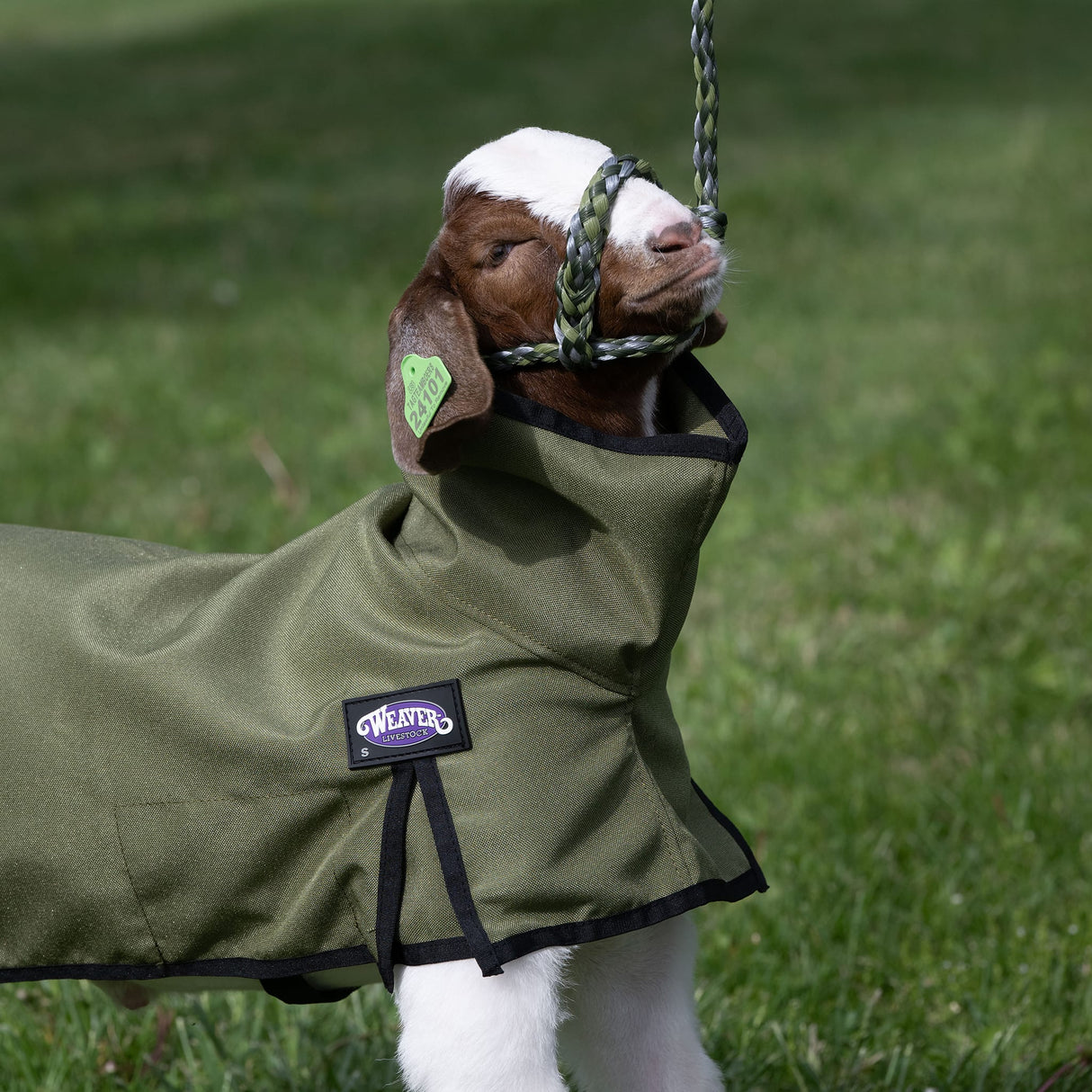 Nylon Goat Blanket
