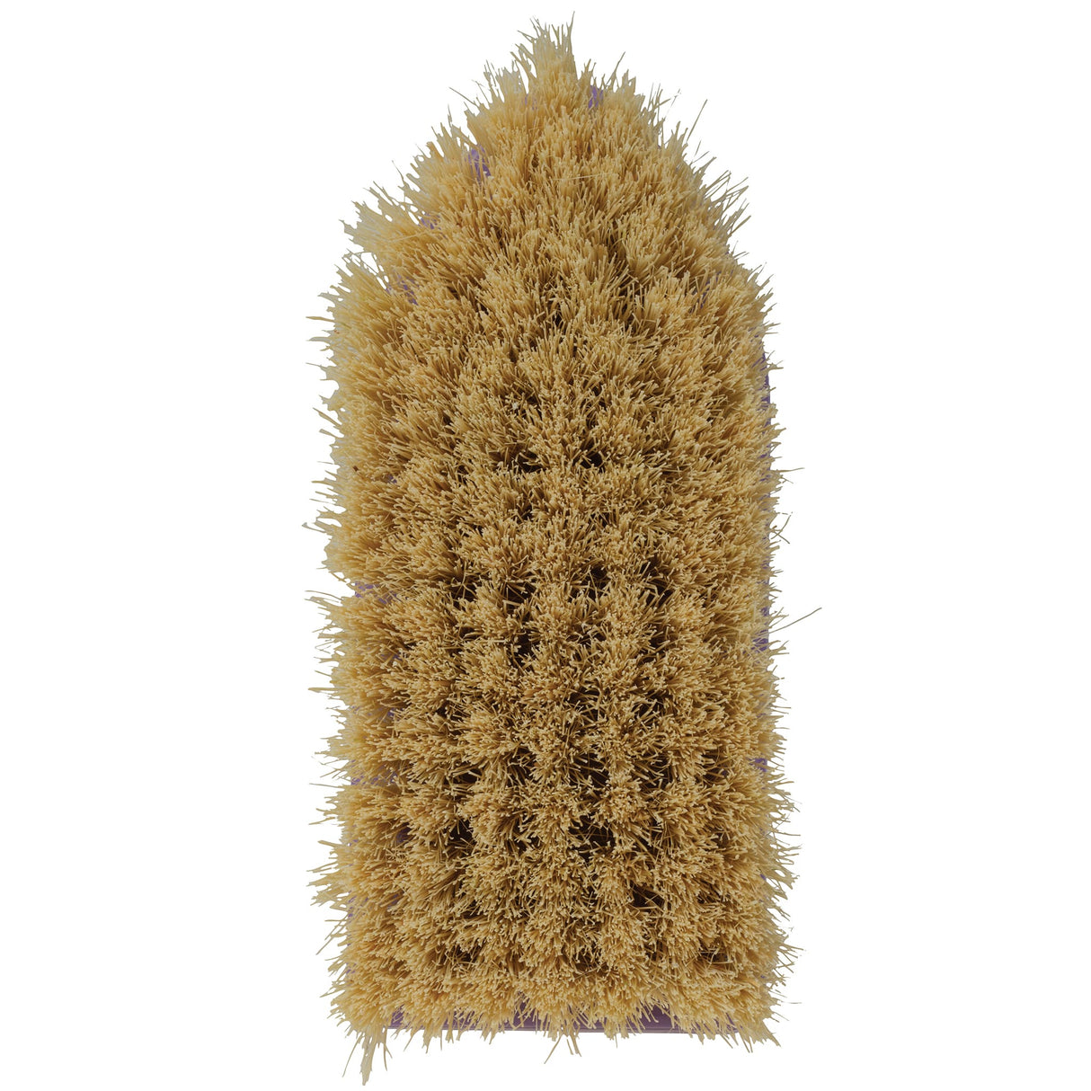 Plastic Tampico Pig Brush with Handle