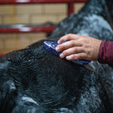 Massage Brush