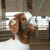 Poly Rope Halter