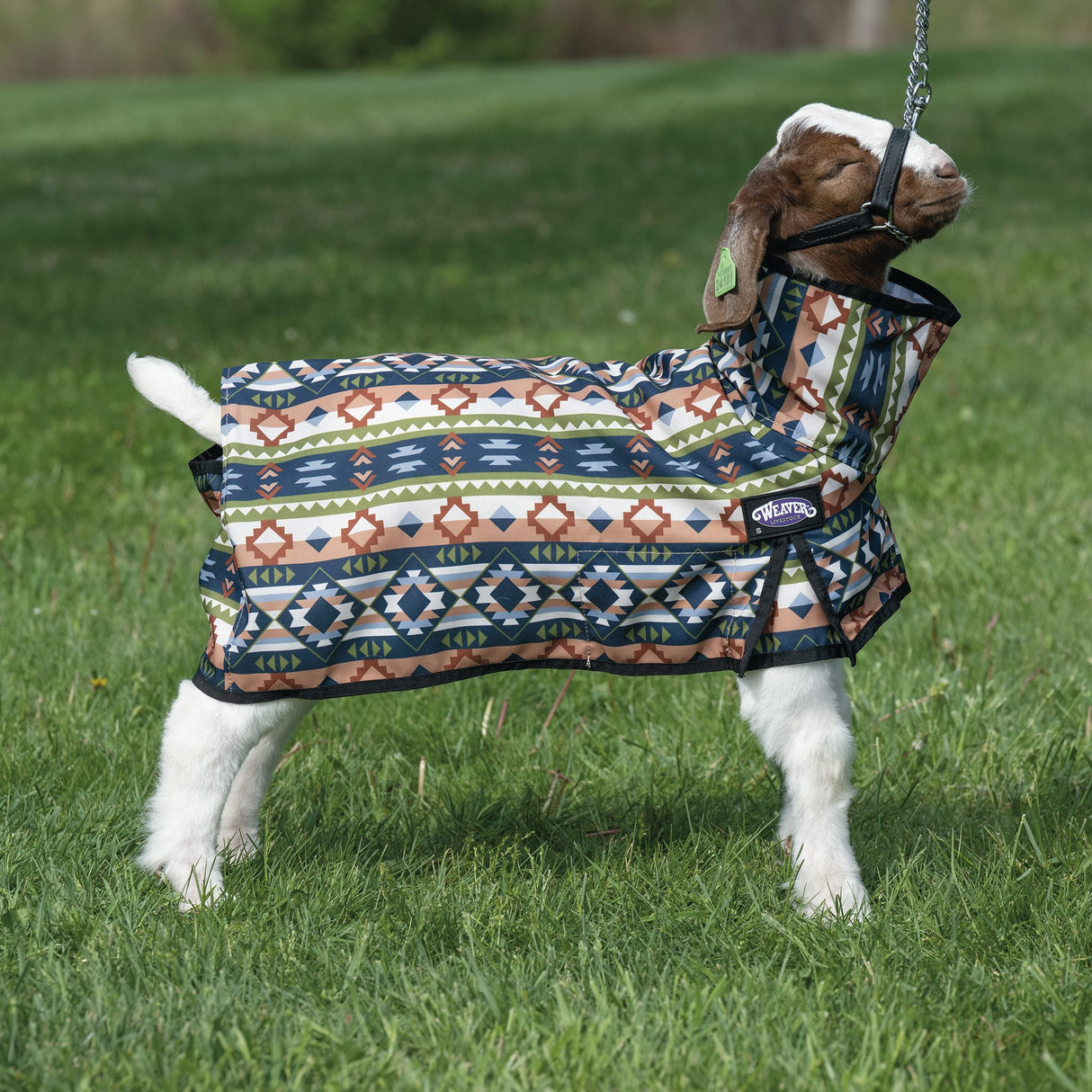 Nylon Goat Blanket