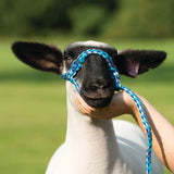 Poly Rope Halter