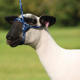 Poly Rope Halter
