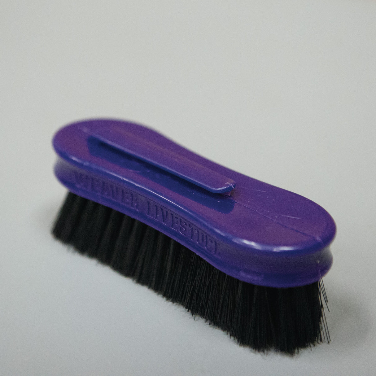 Pig Face Brush, Plastic Handle