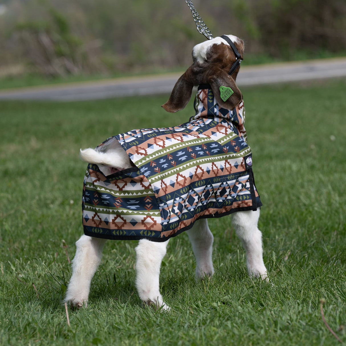 Nylon Goat Blanket