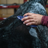 Massage Brush