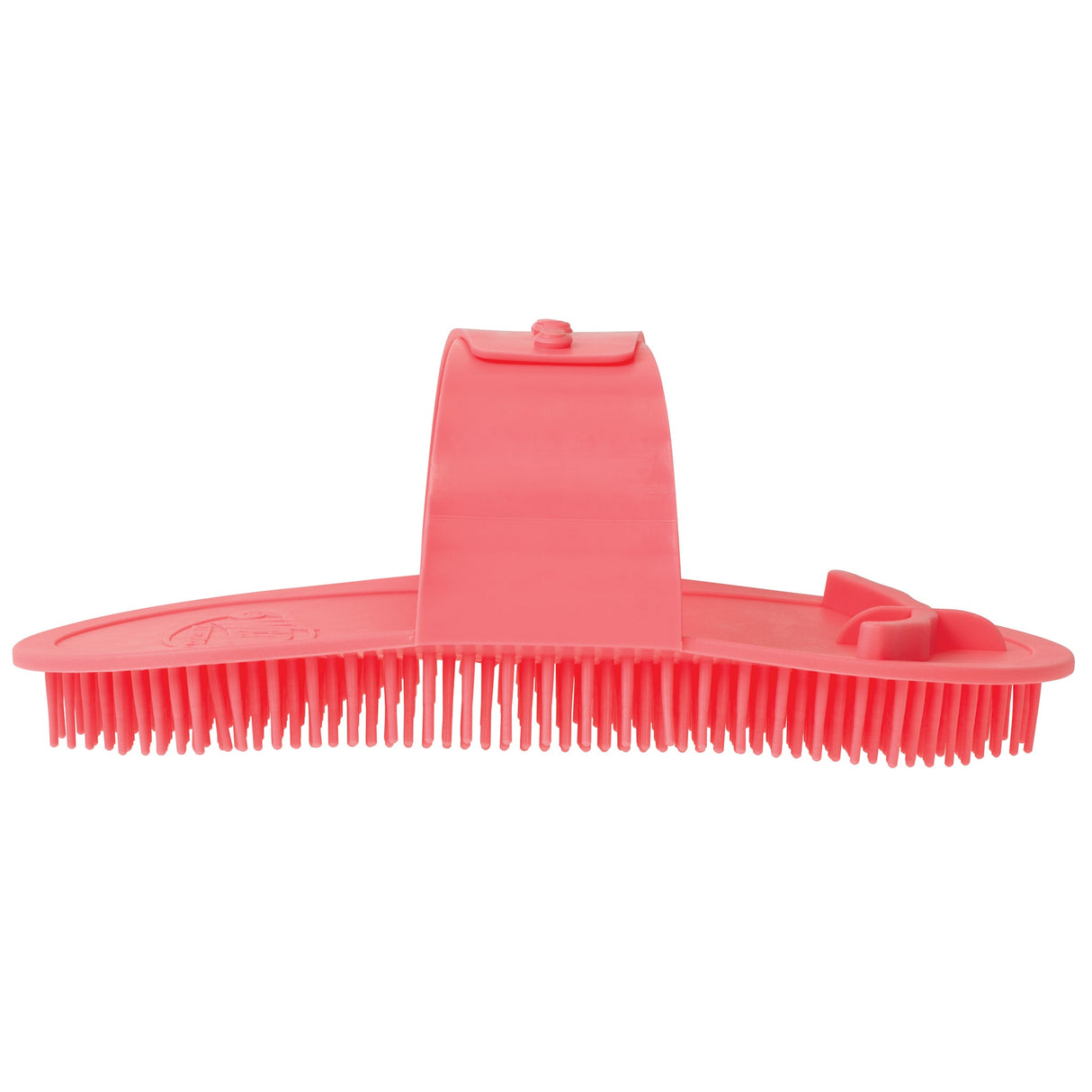 Massage Brush