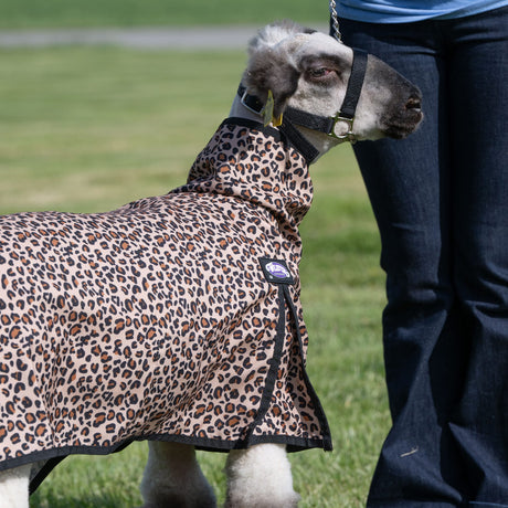 Nylon Sheep Blanket, Mesh Butt