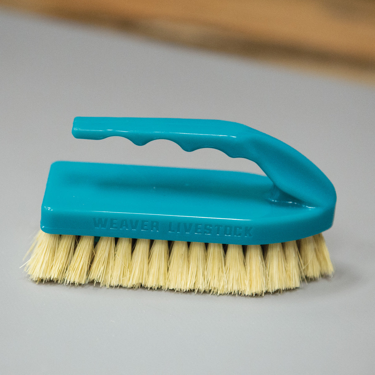 Plastic Tampico Pig Brush with Handle