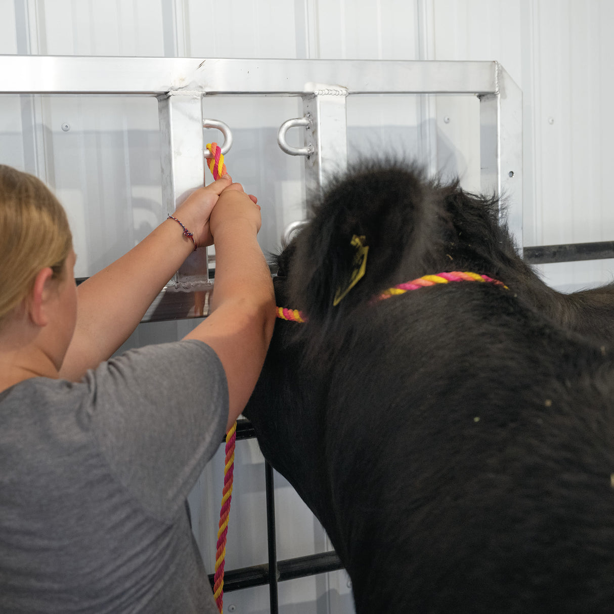 Cattle Rope Halter